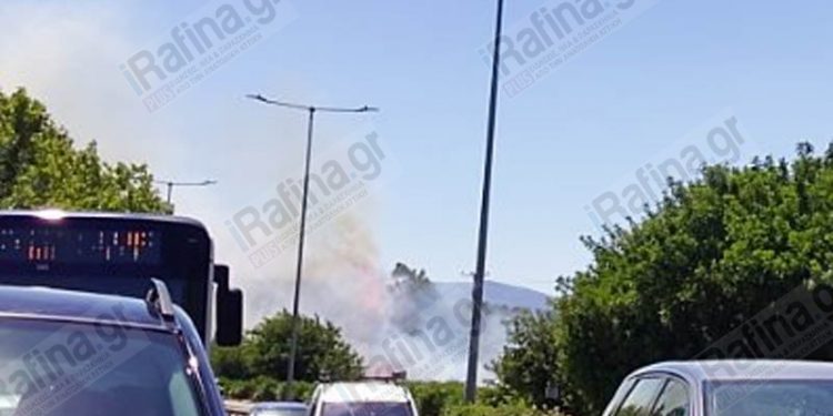 Φωτιά στη Ραφήνα: Ήχησε το 112 – Πού έχει διακοπεί η κυκλοφορία στη Λ. Μαραθώνος – BINTEO – ΦΩΤΟ