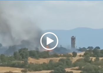 Σέρρες: Φωτιά σε εργοστάσιο ξυλείας στο Νέο Σούλι – BINTEO – ΦΩΤΟ