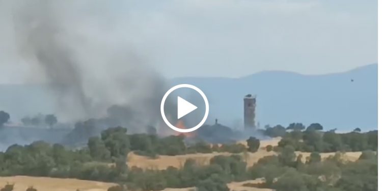 Σέρρες: Φωτιά σε εργοστάσιο ξυλείας στο Νέο Σούλι – BINTEO – ΦΩΤΟ
