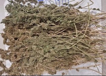 Λάρισα: Στη «φάκα» της ΕΛΑΣ άνδρας που συνελήφθη για ναρκωτικά – ΦΩΤΟ