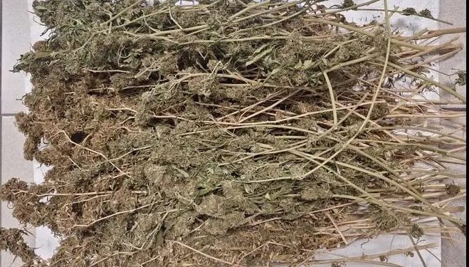 Λάρισα: Στη «φάκα» της ΕΛΑΣ άνδρας που συνελήφθη για ναρκωτικά – ΦΩΤΟ