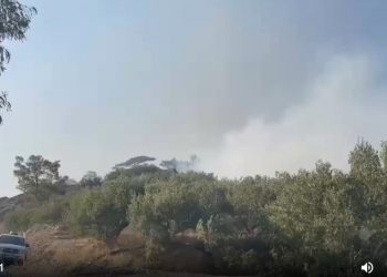 Φωτιά στα Αχλιά Λασιθίου: Συνεχείς ρίψεις από αέρος – ΦΩΤΟ