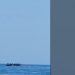 Κρήτη: «Λεφούσι» καθημερινά οι μεταναστευτικές ροές
