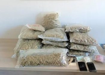 Έβρος: Συνελήφθη με περισσότερα από 16 κιλά κάνναβης λίγο πριν περάσει τα σύνορα – ΦΩΤΟ