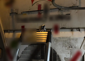 Πώς δρούσε το κύκλωμα που διακινούσε τεράστιες ποσότητες κοκαΐνης στο λιμάνι του Πειραιά – ΒΙΝΤΕΟ – ΦΩΤΟ