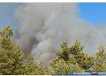 Πυρκαγιά στον Ωρωπό – Ισχυρές επίγειες και εναέριες δυνάμεις – ΦΩΤΟ