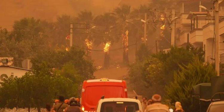Σμύρνη: Νέα μεγάλη φωτιά στο Ουρκμέζ – Αναζωπυρώθηκε στο Ντούζτζε – ΒΙΝΤΕΟ – ΦΩΤΟ