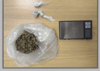 Βόλος: Χειροπέδες σε άνδρα που είχε κάνναβη στο σπίτι του – ΦΩΤΟ