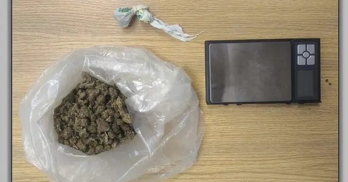 Βόλος: Χειροπέδες σε άνδρα που είχε κάνναβη στο σπίτι του – ΦΩΤΟ