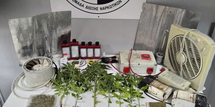 Βέροια: Καλλιεργούσε το χασίς στο υπνοδωμάτιό του – ΒΙΝΤΕΟ – ΦΩΤΟ