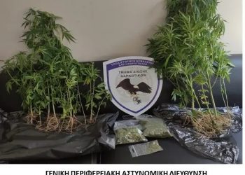 Αλεξανδρούπολη: Ο αστυνομικός σκύλος SANDY «ξετρύπωσε» τα ναρκωτικά – Μία σύλληψη – ΦΩΤΟ