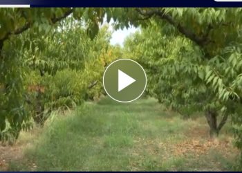 Το χρονικό της δολοφονίας του 72χρονου στη Σκύδρα Πέλλας – ΒΙΝΤΕΟ – ΦΩΤΟ