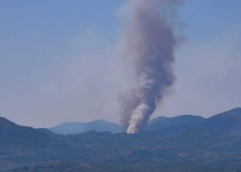 Πυρκαγιά στα Πετράλωνα του Δήμου Μεσσήνης – Ήχησε το 112 – ΒΙΝΤΕΟ – ΦΩΤΟ