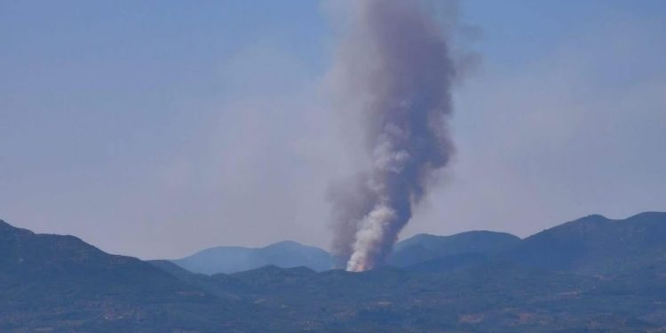 Πυρκαγιά στα Πετράλωνα του Δήμου Μεσσήνης – Ήχησε το 112 – ΒΙΝΤΕΟ – ΦΩΤΟ