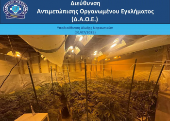 Θερμοκήπιο με κάνναβη φιλοξενούσε μονοκατοικία στην Ανατολική Αττική – ΒΙΝΤΕΟ – ΦΩΤΟ