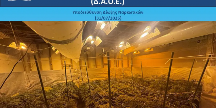 Θερμοκήπιο με κάνναβη φιλοξενούσε μονοκατοικία στην Ανατολική Αττική – ΒΙΝΤΕΟ – ΦΩΤΟ