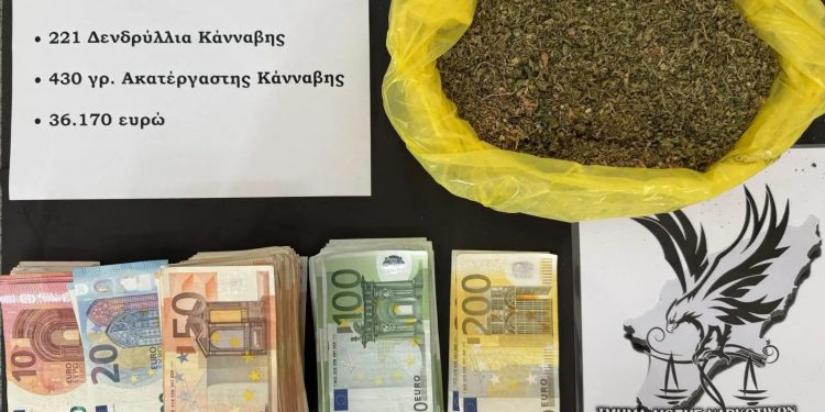 Ρόδος: Χειροπέδες σε 52χρονο που καλλιεργούσε κάνναβη σε αυτοσχέδιο θερμοκήπιο – ΒΙΝΤΕΟ – ΦΩΤΟ