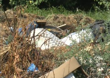 Πέλλα: Ο καβγάς για λίγα ροδάκινα κατέληξε σε άγριο έγκλημα – ΒΙΝΤΕΟ – ΦΩΤΟ