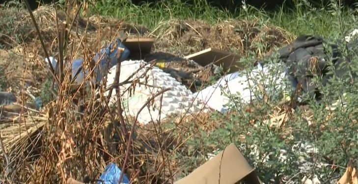 Πέλλα: Ο καβγάς για λίγα ροδάκινα κατέληξε σε άγριο έγκλημα – ΒΙΝΤΕΟ – ΦΩΤΟ