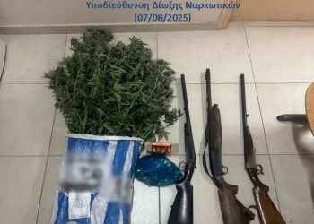 Ζάκυνθος: Χειροπέδες σε 51χρονο για καλλιέργεια κάνναβης και όπλα – ΦΩΤΟ