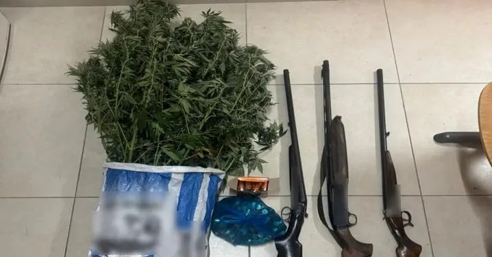 Ζάκυνθος: Χειροπέδες σε 51χρονο για καλλιέργεια κάνναβης και όπλα – ΦΩΤΟ