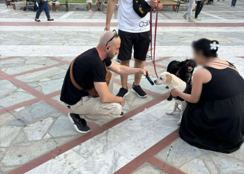 Θεσσαλονίκη: Εντατικοί έλεγχοι σε δεσποζόμενα ζώα συντροφιάς – ΦΩΤΟ