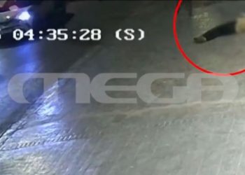 Προφυλακιστέος ο 20χρονος γιος επιχειρηματία που πάτησε αστυνομικό μετά από καταδίωξη – ΒΙΝΤΕΟ