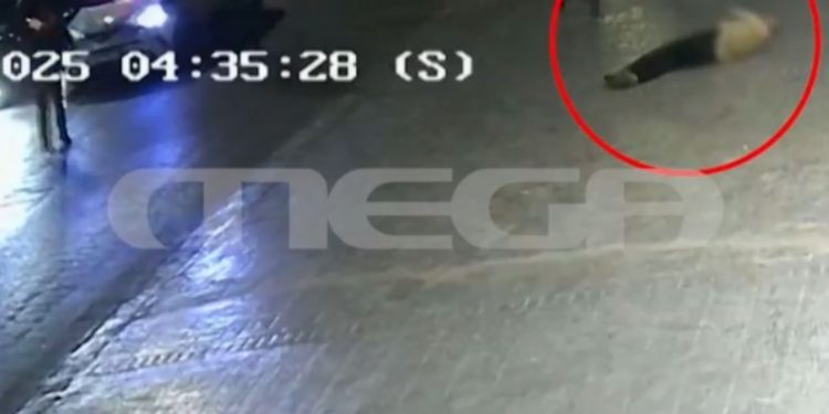 Προφυλακιστέος ο 20χρονος γιος επιχειρηματία που πάτησε αστυνομικό μετά από καταδίωξη – ΒΙΝΤΕΟ