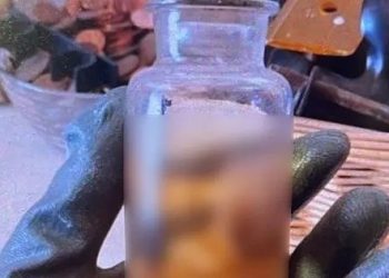 Μακάβρια ανακάλυψη: Βρέθηκε έμβρυο σε μπουκάλι με φορμόλη σε διαμέρισμα – Συνελήφθη 77χρονος – ΒΙΝΤΕΟ – ΦΩΤΟ