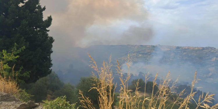 Πυρκαγιά στο Άλσος Αχαΐας: Καλύτερη η εικόνα – Ήχησε το 112