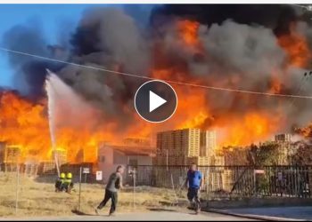 Μαίνεται η μεγάλη φωτιά σε εργοστάσιο ξυλείας στο Μενίδι – ΒΙΝΤΕΟ – ΦΩΤΟ