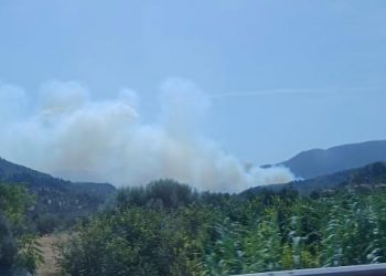 Συναγερμός για φωτιά στην Αιγιάλεια – Ήχησε το 112 – Εναέρια μέσα στη μάχη με τις φλόγες – ΒΙΝΤΕΟ – ΦΩΤΟ