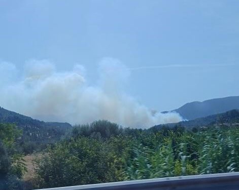 Συναγερμός για φωτιά στην Αιγιάλεια – Ήχησε το 112 – Εναέρια μέσα στη μάχη με τις φλόγες – ΒΙΝΤΕΟ – ΦΩΤΟ