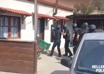 Θεσσαλονίκη: Σύλληψη 62χρονου που καταζητείτο για παράνομη υλοτόμηση – ΒΙΝΤΕΟ – ΦΩΤΟ