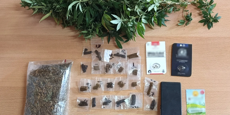 Ρέθυμνο: Μία σύλληψη για καλλιέργεια δενδρυλλίων κάνναβης και κατοχή ναρκωτικών ουσιών – ΦΩΤΟ