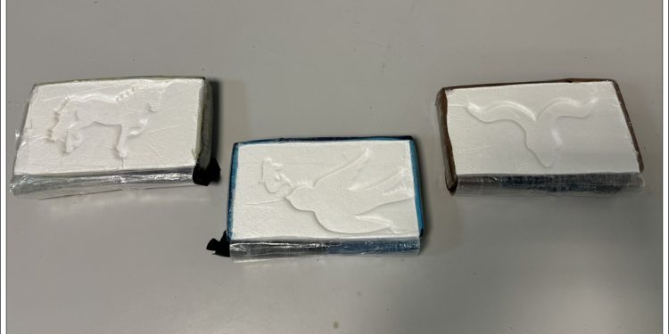 Ισόβια στα 3 μέλη συμμορίας που πιάστηκαν με περισσότερα από 21 κιλά κοκαΐνης – ΦΩΤΟ