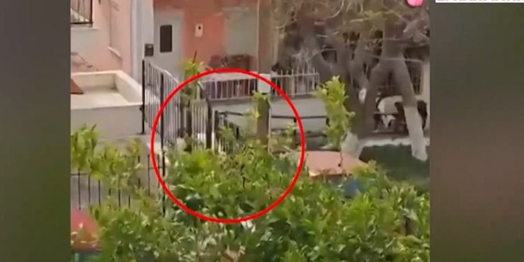 Κρητική μαφία: Οι νέοι διάλογοι που «καίνε» έξω από το σπίτι του λεγόμενου «Στρατηγού» – ΒΙΝΤΕΟ – ΦΩΤΟ