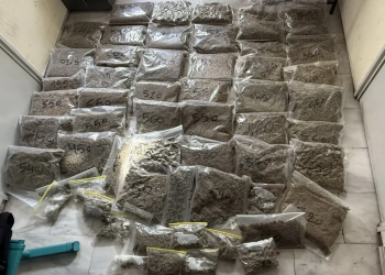 Μαρκόπουλο Αττικής: Αποθήκη με 22 κιλά κάνναβης εντόπισαν οι αστυνομικοί, μία σύλληψη – ΦΩΤΟ