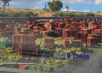 Αθώοι ο οδηγός και ο ιδιοκτήτης νταλίκας για τo χάος που προκάλεσαν τα σταφύλια που έπεσαν στον Περιφερειακό Θεσσαλονίκης – ΒΙΝΤΕΟ
