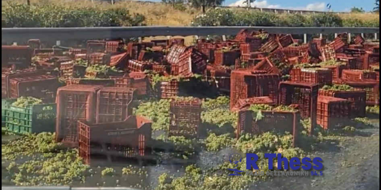 Αθώοι ο οδηγός και ο ιδιοκτήτης νταλίκας για τo χάος που προκάλεσαν τα σταφύλια που έπεσαν στον Περιφερειακό Θεσσαλονίκης – ΒΙΝΤΕΟ