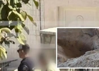 Θήβα: ΄Ετοιμη να την … κάνει για Γερμανία ήταν η 62χρονη που έθαψε τη μητέρα της σε στάβλο – ΒΙΝΤΕΟ