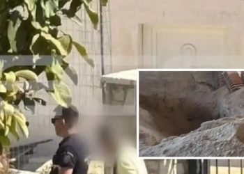 Ελεύθερη η Διευθύντρια ΚΕΠ που έθαψε την μητέρα της σε στάβλο για να παίρνει τη σύνταξή της – ΒΙΝΤΕΟ – ΦΩΤΟ