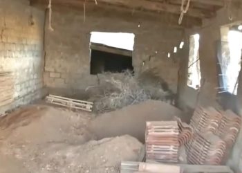 «Deadly Women» στη Βοιωτία: Διευθύντρια ΚΕΠ έθαψε την μητέρα της σε στάβλο για να παίρνει τη σύνταξή της – ΒΙΝΤΕΟ – ΦΩΤΟ