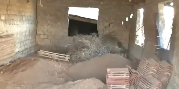 «Deadly Women» στη Βοιωτία: Διευθύντρια ΚΕΠ έθαψε την μητέρα της σε στάβλο για να παίρνει τη σύνταξή της – ΒΙΝΤΕΟ – ΦΩΤΟ