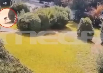 ΒΙΝΤΕΟ ΝΤΟΚΟΥΜΕΝΤΟ: Πώς απατεώνες άρπαξαν πάνω από 90.000 ευρώ με το κόλπο της έκρηξης και του…κουβά!