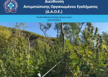 Εντοπίστηκαν 1.650 «ορφανά» δενδρύλλια κάνναβης σε δασώδη περιοχή των Ιωαννίνων – ΒΙΝΤΕΟ – ΦΩΤΟ
