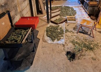 Φλώρινα: Συνελήφθη 41χρονος με φούντα και κλώνο 3 κιλών κάνναβης – ΦΩΤΟ