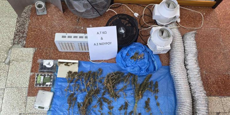 Μία σύλληψη για καλλιέργεια εσωτερικού τύπου κάνναβης στη Νίσυρο – ΦΩΤΟ