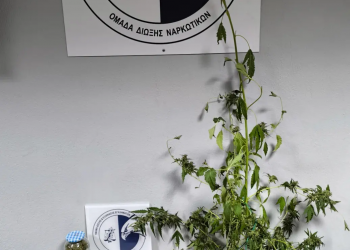 Τρεις συλλήψεις για ναρκωτικά στην Βέροια – ΦΩΤΟ