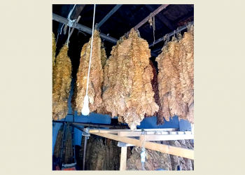 Ξάνθη: Μια σύλληψη για λαθρεμπόριο καπνού – ΦΩΤΟ